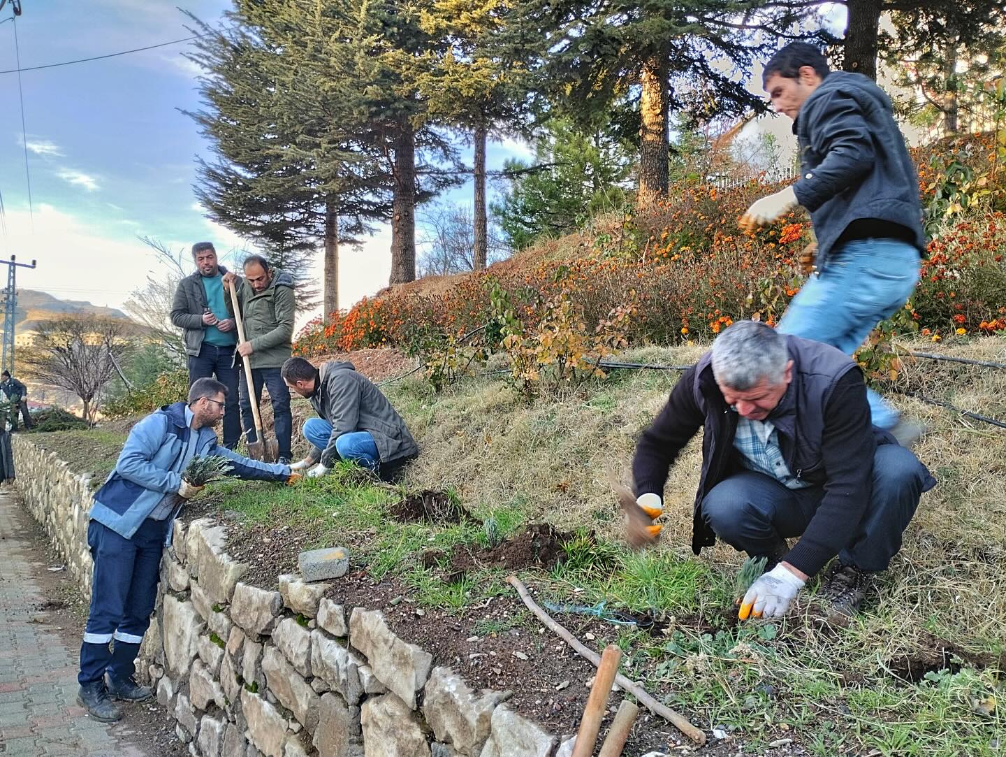 Arapgir Belediyesi Tarafından Orta Refüj ve Kavşaklarda Peyzaj ve Temizlik Çalışmaları Devam Ediyor