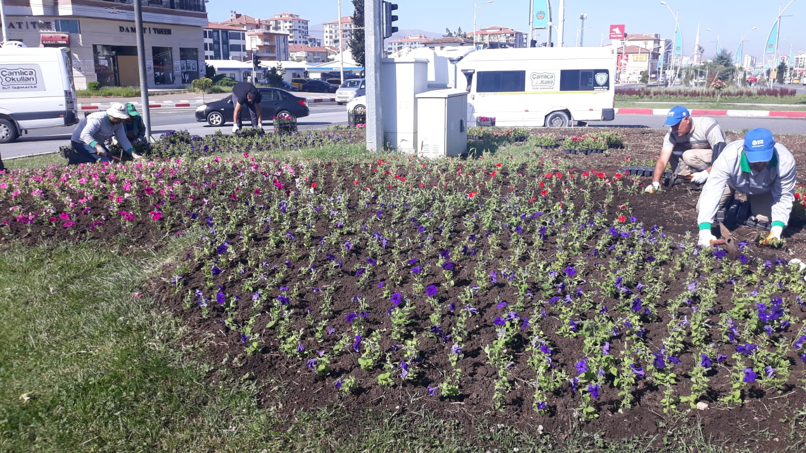 Büyükşehir Belediyesi Parkları Ve  Refüjleri Yeniliyor