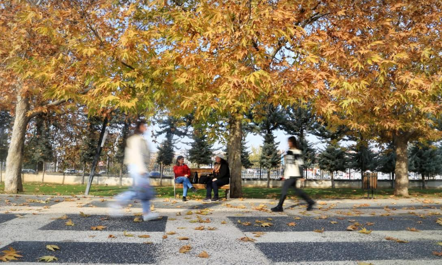 Malatya Kent Konseyi’nden “ Dijital Fotoğrafçılık” Eğitimleri Devam Ediyor